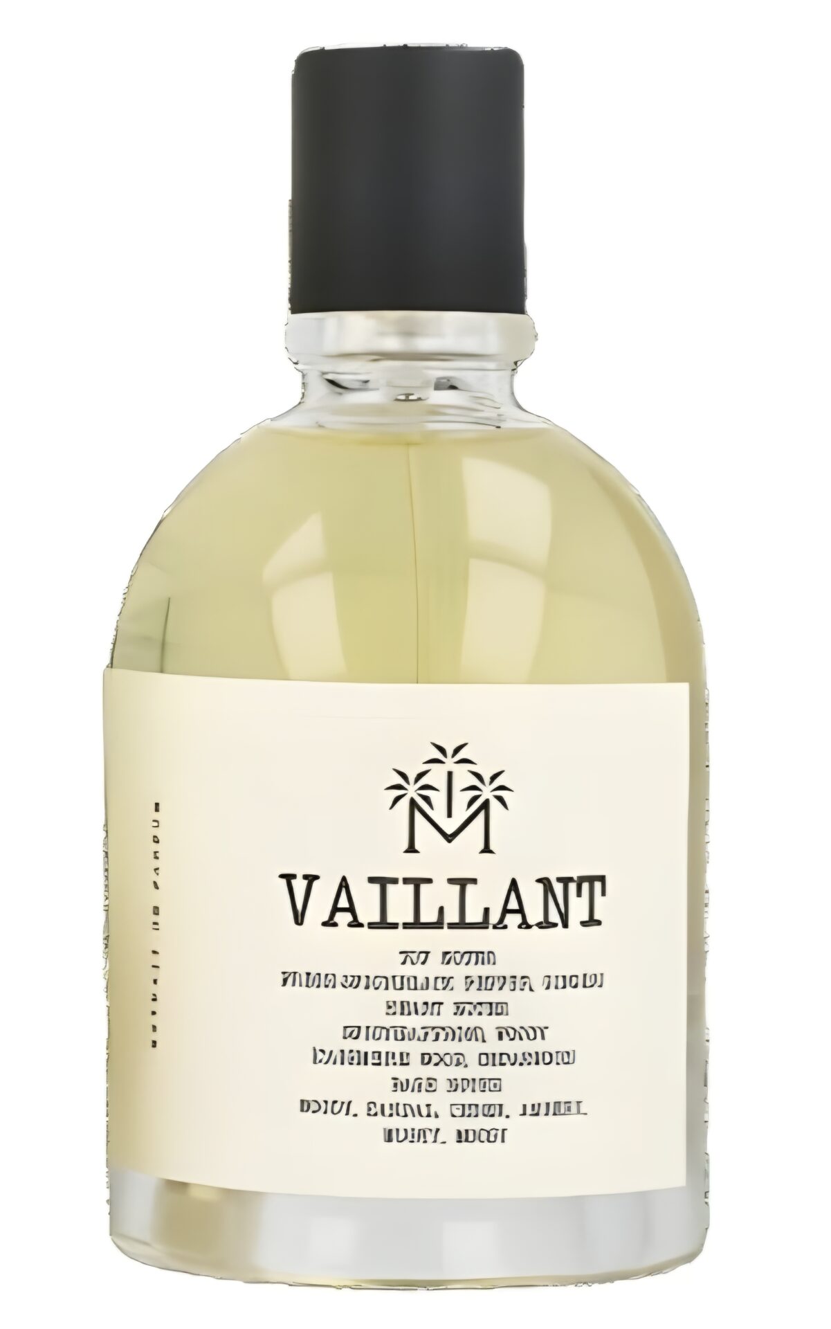 vaillant-by-moudon
