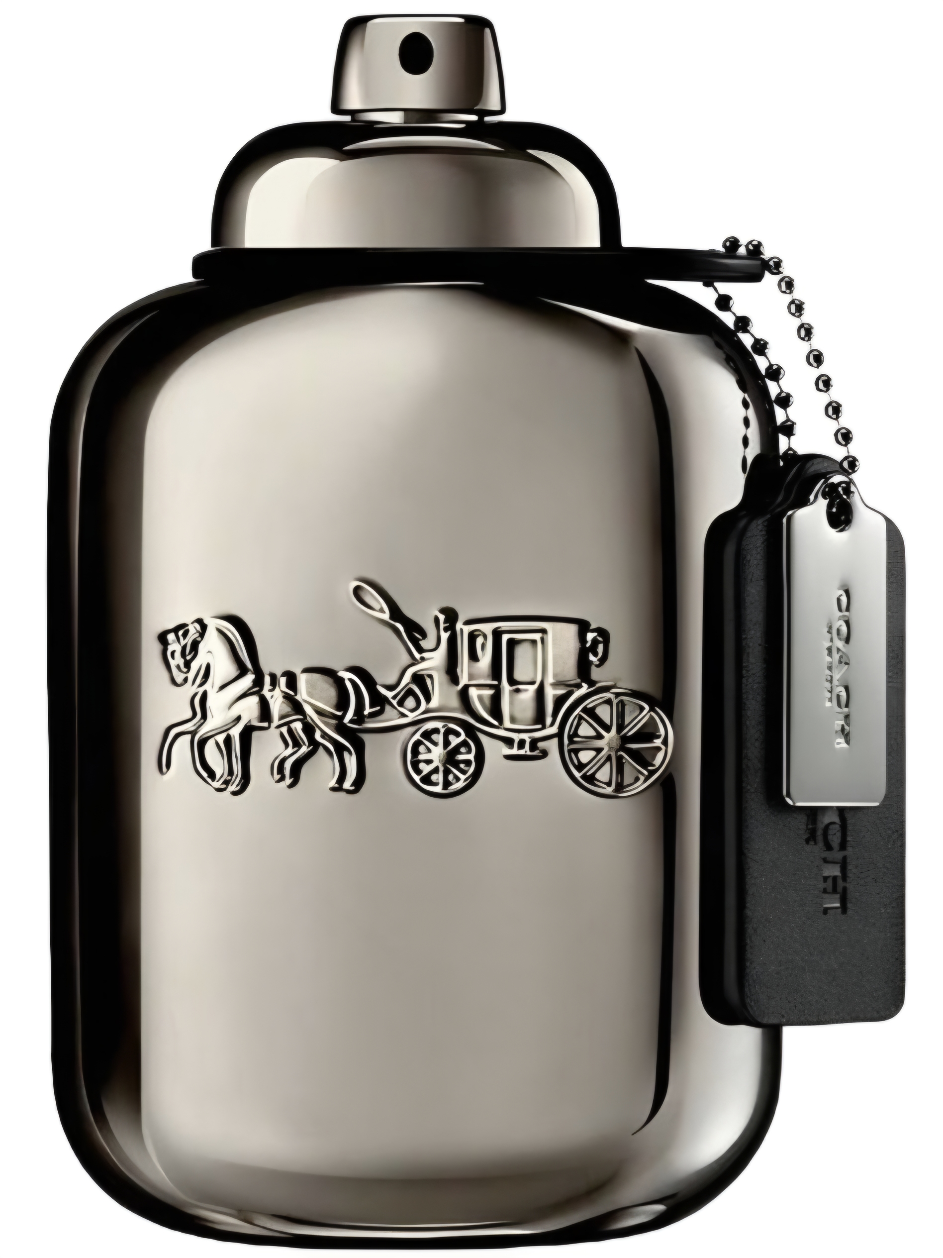 2026-release-pure-platinum-by-coach